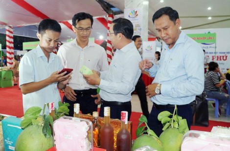 Các vùng kinh tế cả nước đều có số doanh nghiệp thành lập mới tăng