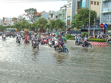 Tập huấn lập bản đồ nguy cơ ngập lụt đô thị sử dụng QGIS