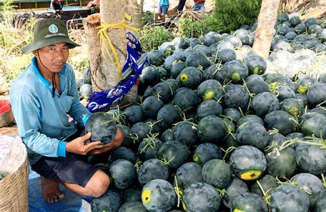 Hướng đến nền nông nghiệp thịnh vượng, nông dân giàu có, nông thôn văn minh