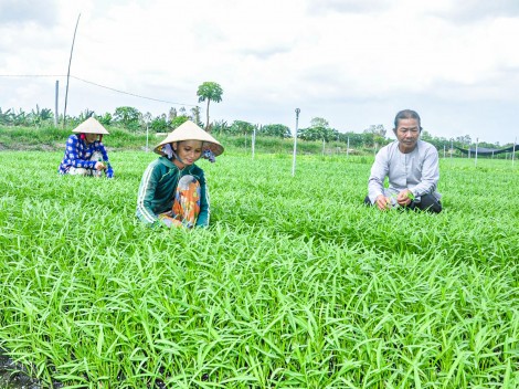 Tích cực chuẩn bị, tổ chức đại hội

đảng bộ các cấp đúng tiến độ