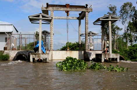 Bảo vệ ĐBSCL trước hiện tượng sụt lún đất