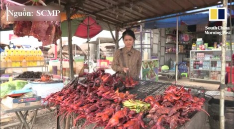 Thịt chuột nướng của người Campuchia