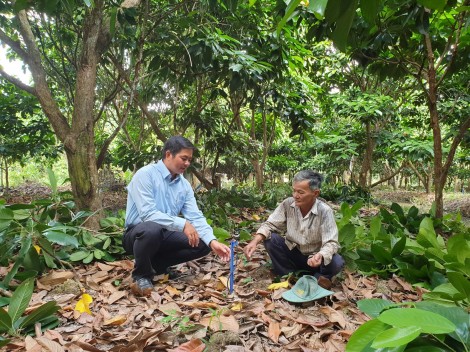Đem lợi ích đến nông dân