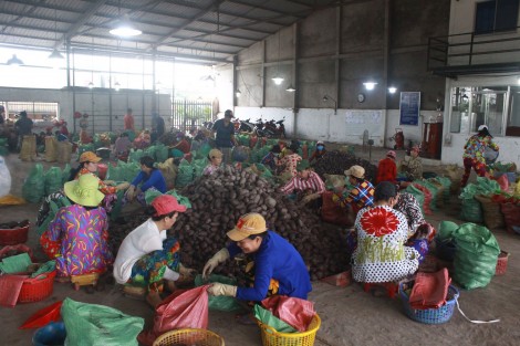 Ao ước của những người tí hon!