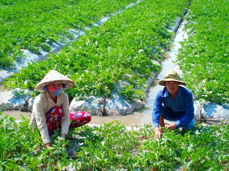 Nỗ lực lao động, vươn lên trong cuộc sống