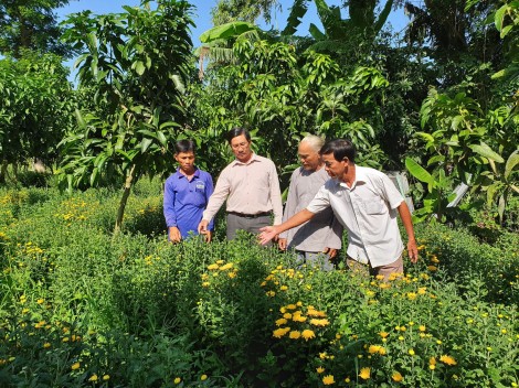 Khấm khá nhờ trồng hoa
