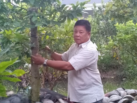 Nhiệt tình với phong trào địa phương