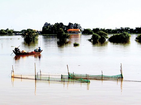 Những cảnh báo đáng lo ngại