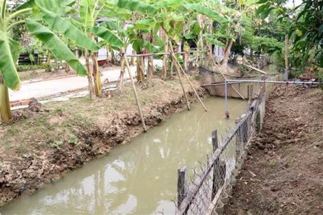 Tìm giải pháp ứng phó hiệu quả với hạn mặn ở Đồng bằng sông Cửu Long