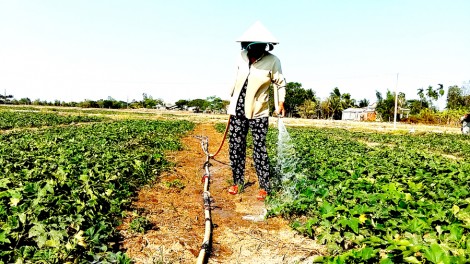 Bộ Nông nghiệp vẫn “lạc quan” tác động của hạn mặn