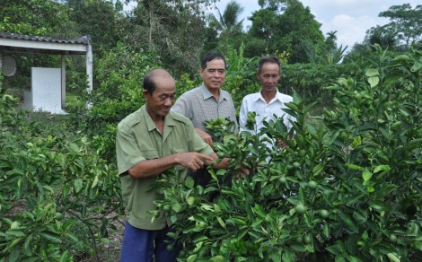 Nhơn Nghĩa khởi sắc