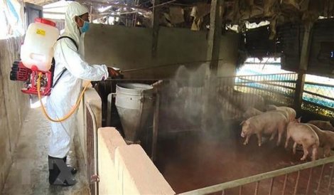 Sửa quy định phạt vi phạm hành chính lĩnh vực bảo vệ thực vật, thú y