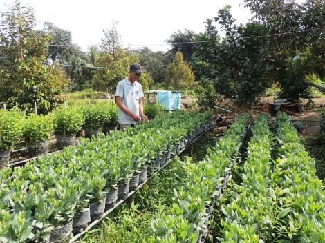 Xây dựng nông thôn mới là quá trình thường xuyên, liên tục