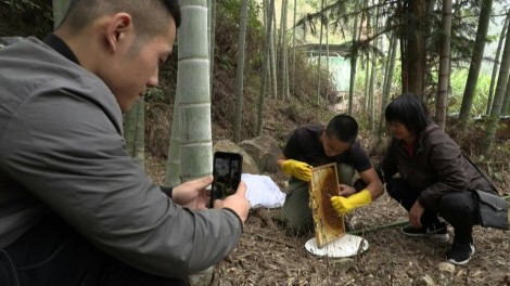 Nông dân Trung Quốc phất lên nhờ TikTok