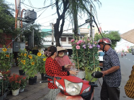 Hoa ra chợ Tết
