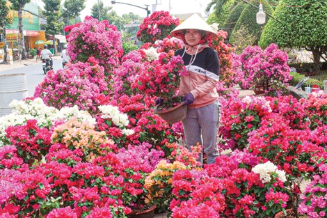 Hàng hóa đa dạng, giá cả ổn định