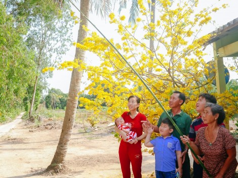 Sắc Xuân đất nước