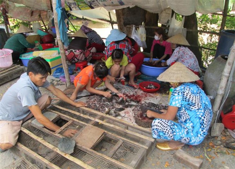 Đầu năm Canh Tý “xông đất” chợ chuột đồng lớn nhất miền Tây
