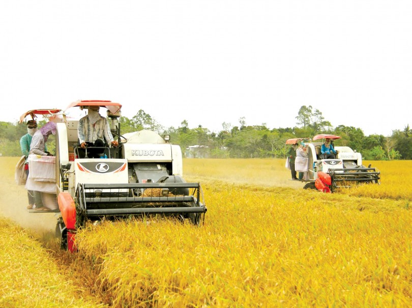 Diện mạo mới