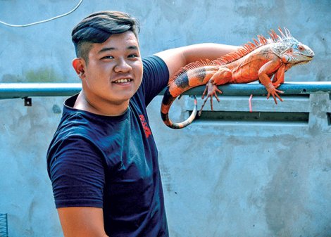 Trồng “cây độc” nuôi “con lạ”