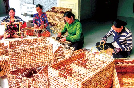 Tín  hiệu vui