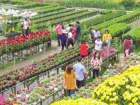 Đồng Tháp phát triển

sản phẩm du lịch đặc trưng