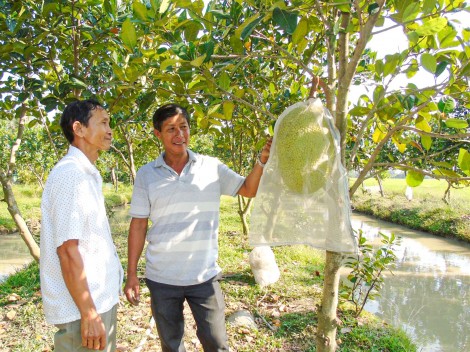 Vận động nhân dân 
làm theo gương Bác