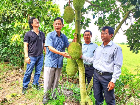 Hỗ trợ vốn cho nông dân