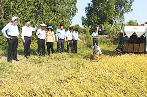 Đồng chí Phạm Văn Hiểu kiểm tra công tác giao thông
thủy lợi và sản xuất nông nghiệp tại huyện Thới Lai