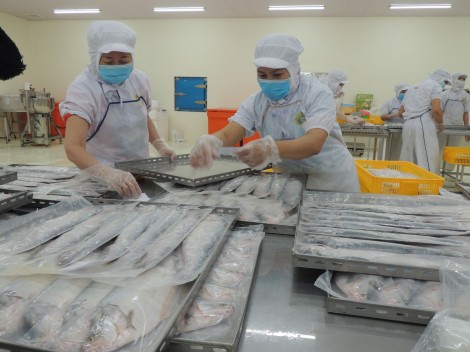 Nhanh chóng nắm bắt thông tin, hỗ trợ doanh nghiệp kịp thời