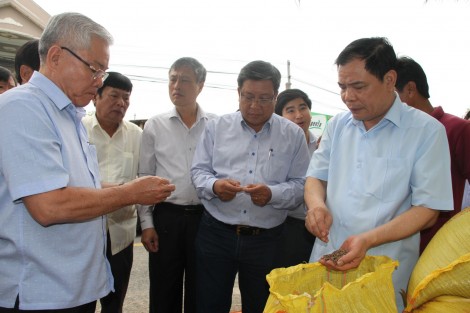 Sóc Trăng chủ động công tác phòng chống hạn, xâm nhập mặn