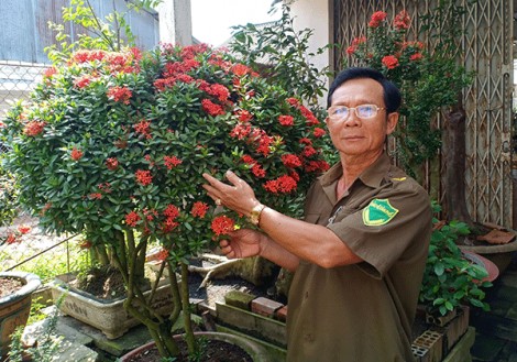 Tổ trưởng Tổ Dân phố tận tụy với công việc