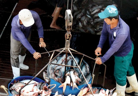 Khai thác thị trường tăng kim ngạch xuất nhập khẩu