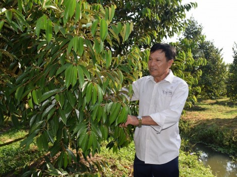 Giải pháp thích ứng biến đổi khí hậu 
cho cây trồng và vật nuôi vùng ĐBSCL