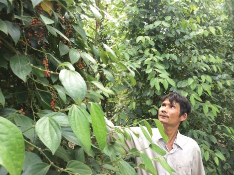 Đồng hành cùng thanh niên lập thân, lập nghiệp