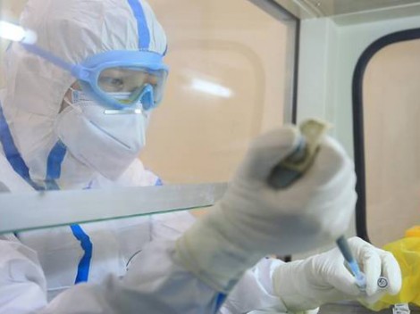 Vaccine phòng bệnh đạt thành công

bước đầu trong quá trình thử nghiệm