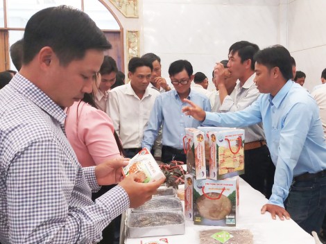 Hợp sức để Hợp tác xã thủy sản “bước lên bước nữa”