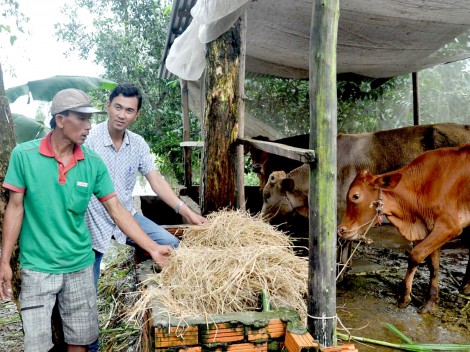 Chuyển biến tích cực 

trong xây dựng, chỉnh đốn Đảng