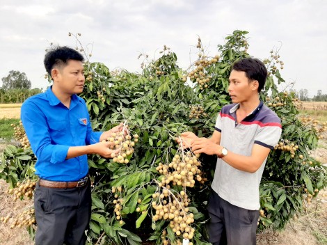 Khát vọng làm giàu