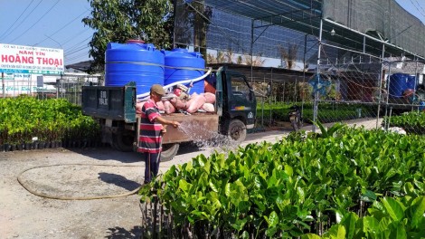 Hạn mặn khốc liệt, nước ngọt 100.000-150.000 đồng/m3