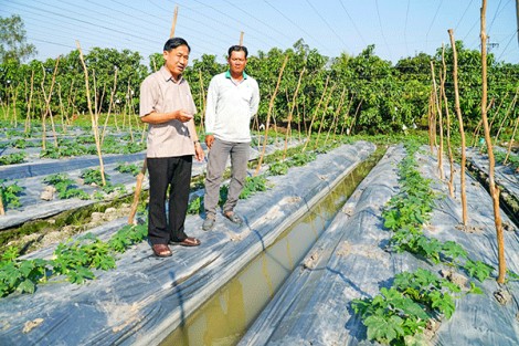 Chuyển biến mới ở Thới Hưng