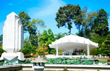 “Thế giới kiểng cổ” ở Đồng Tháp