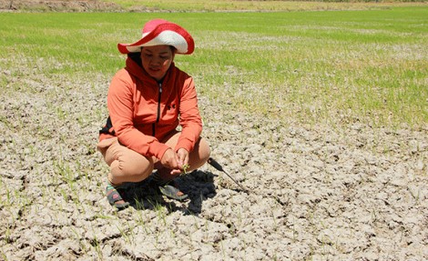 Xâm nhập mặn  khả năng cao nhất từ đầu mùa khô đến nay