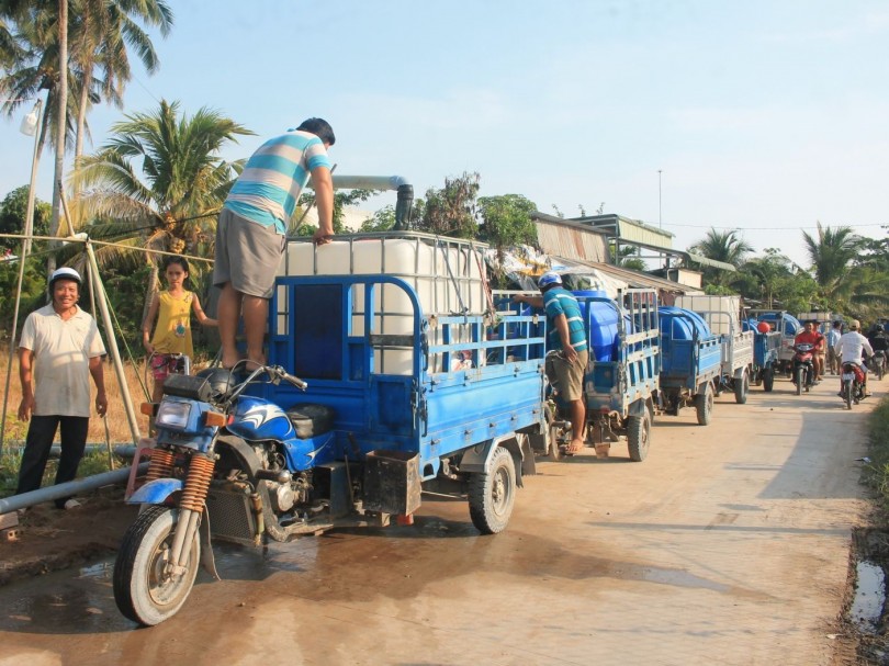 Hạn mặn đe dọa “vương quốc” cây giống