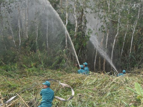 Cà Mau: Hơn 34.700 ha rừng báo cháy cấp cực kỳ nguy hiểm