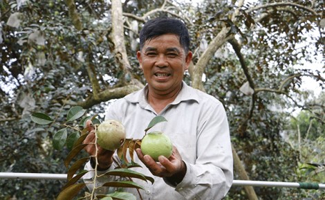Cho phép sử dụng địa danh để đăng ký bảo hộ nhãn hiệu tập thể