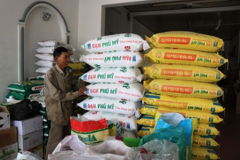 Nguồn cung dồi dào, giá duy trì ở mức thấp