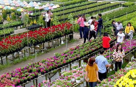 Xây dựng Làng Văn hóa du lịch Sa Đéc