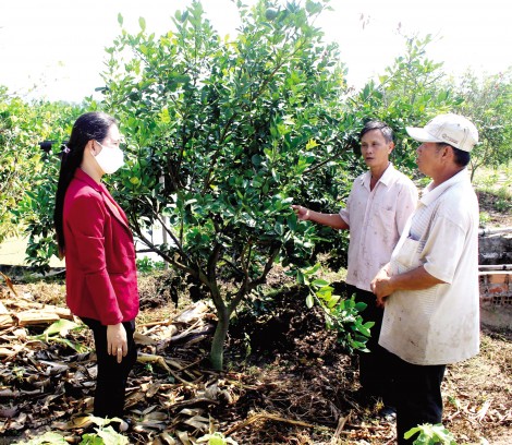 Giúp người dân thoát nghèo