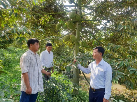 Thi đua làm giàu
